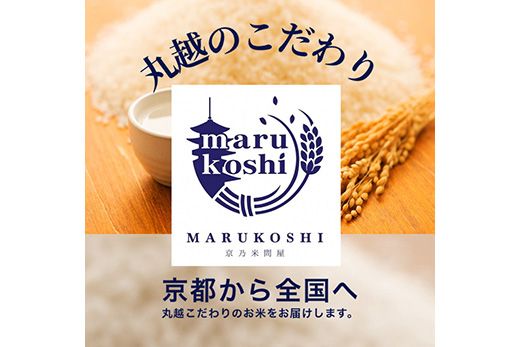 令和7年産 新米 京都丹波産 きぬひかり 5kg×2 計10kg ※米食味鑑定士厳選 ※精米したてをお届け【京都伏見のお米問屋が精米】 米 白米 令和7年産 ※沖縄本島・離島への配送不可