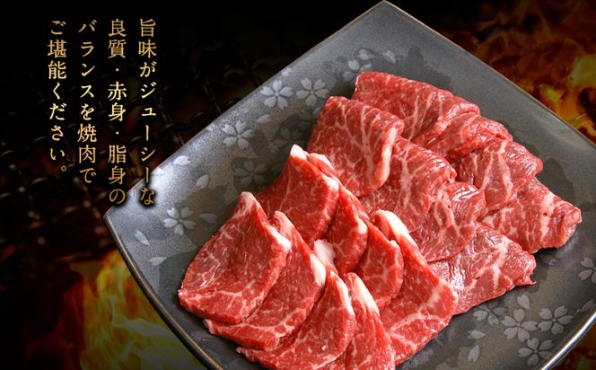 A5ランク 牛肉 くまもと黒毛和牛 焼肉用 400g 株式会社KAM Brewing《90日以内に出荷予定(土日祝除く)》---so_fkmkgyk_90d_23_22500_400g---