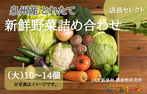 099H139 JA大阪泉州 直売所店長セレクト 新鮮野菜セット【10～14個 詰め合わせ 泉佐野産 とれたて 新鮮野菜 やさい 高評価 数量限定】