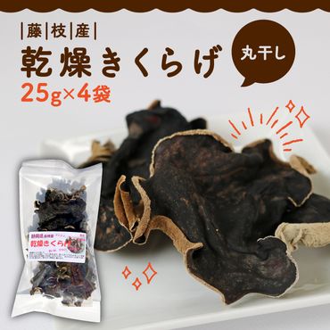 きくらげ 乾燥 丸干し 25g × 4袋 国産 天日干し きのこ きくらげ キクラゲ 木耳 ビタミンD 鉄分 カルシウム 静岡県 藤枝市[PT0010-000004]