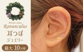 耳つぼ体験 60分 利用券【１名様分】リラクゼーション 健康 マッサージ 癒しプライベートサロン チケット　H178-008