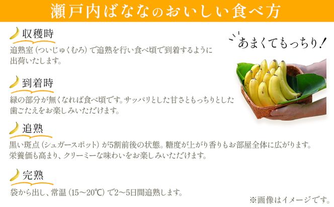 皮ごと 食べれる 瀬戸内 プチ ばなな 2本入 3パック 株式会社プランター バナナ《45日以内に出荷予定(土日祝除く)》---A-186---