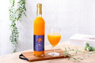 ya̎RLcsz670.B݂100%Xg[gW[XyPremium Taste uetomoz500ml×2{Zbg