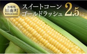 【令和8年発送】宮崎県産とうもろこし　朝どれ！守部さんちのゴールドラッシュ2.5kg 【 とうもろこし スイートコーン トウモロコシ スィートコーン 令和8年発送 】 [C06407]