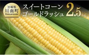 【令和7年発送】朝どれ！守部さんちのゴールドラッシュ2.5kg【 とうもろこし スイートコーン トウモロコシ スィートコーン 令和7年発送 】 [D06405]