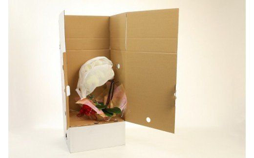 胡蝶蘭 黄色 ２本立１６輪以上 アイビー入り H042-011