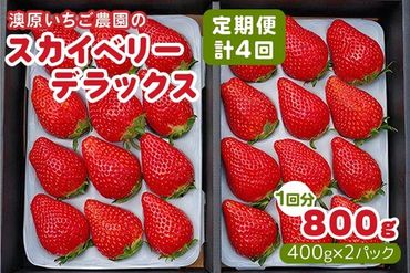 [先行予約][4ヶ月連続定期便] 澳原いちご農園のスカイベリーデラックス定期便 (毎月お届け 計4回)|いちご イチゴ 苺 フルーツ 果物 産地直送 栃木県産 [0483]