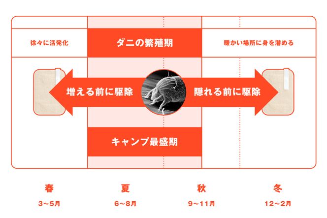 ダニ捕りシート ダニクル 寝袋用 1個（2枚入） [エース産業 宮城県 気仙沼市 20563937] アウトドア ダニ ダニ捕り ハウスダスト アレルギー 予防 寝袋 キャンプ