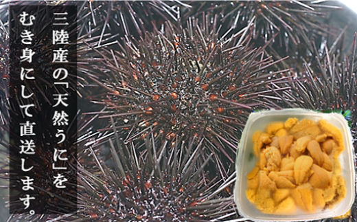 【令和8年発送先行予約】生うに100g×1個/2個/3個【2026年5月上旬～8月発送】【05】