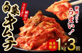 099Z246 定期便 白菜キムチ 1kg × 3回 大好評 韓国【毎月配送コース】