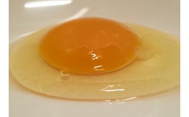 B5001スマイルたまご２段 卵 鶏卵 玉子