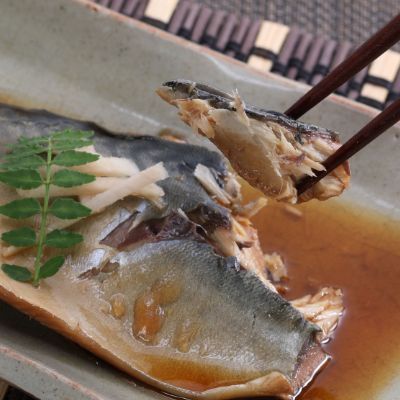 EPAが豊富！初音のサバの煮付け【半身×４枚】 hn037