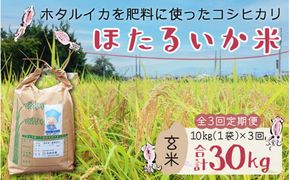 【訳あり】ほたるいか米（玄米10kg）×3回 計30kg【3ヶ月定期便】