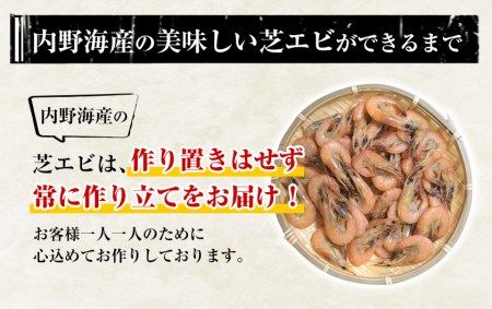 海老 エビ 釜揚げ 一夜干し 芝えび (800g)約200尾 えび 内野海産《45日以内に出荷予定(土日祝除く)》---sn_fuchiebi_45d_r7_13000_800g---