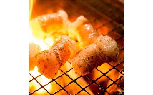 いぶさな牛　ホルモンセット 【 肉 牛肉 黒毛和牛 精肉 希少 】[H0505]