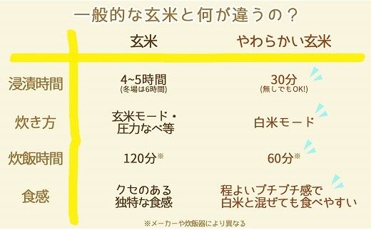 やわらかい玄米 1.8kg(900g×2袋) ※12回定期便 安心安全なヤマトライス H074-535