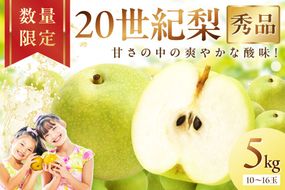 【先行予約／数量限定600】20世紀梨（秀品） 5kg（10～16玉）（2026年8月下旬～発送）　DE00163