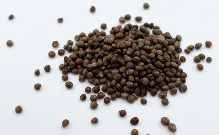 金のしずく（食用エゴマ油）110g　1本組Aタイプ SWAU001