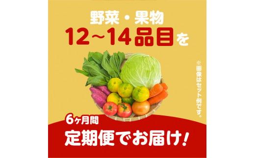 【JA直売所セレクト】6ヵ月定期便！旬鮮野菜・果物セット（12～14品目）　K072-T01