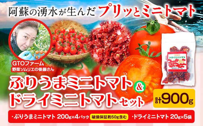 ぷりうまミニトマト ドライミニトマト セット 計900g トマト ミニトマト 野菜 GTOファーム 熊本県 南阿蘇村《30日以内に出荷予定(土日祝除く)》---sms_cgtomtmt_30d_24_16500_900g---