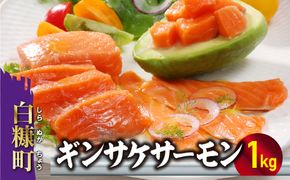 ※2025年3月末までにお届け※ギンサケサーモン【1kg】