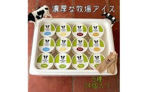 【北海道産搾りたて生乳使用】ひらかわ牧場のアイスクリーム 定番の5種24個セット フレッシュミルク バニラ チョコ キャラメルクランチ 抹茶 デザート スイーツ お取り寄せ ギフト せたな町 ふるさと納税