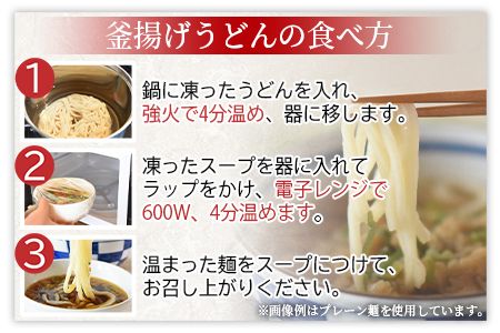 ＜太平寺うどんの釜揚げうどん プレーン麺（6人前）＞翌月末迄に順次出荷【c965_th_x2】