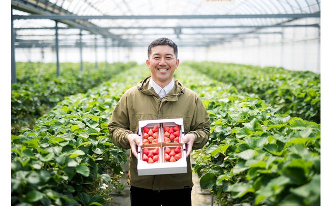 冷凍いちご 2kg あかまつ農園 ＜苺 いちご イチゴ 果物 フルーツ