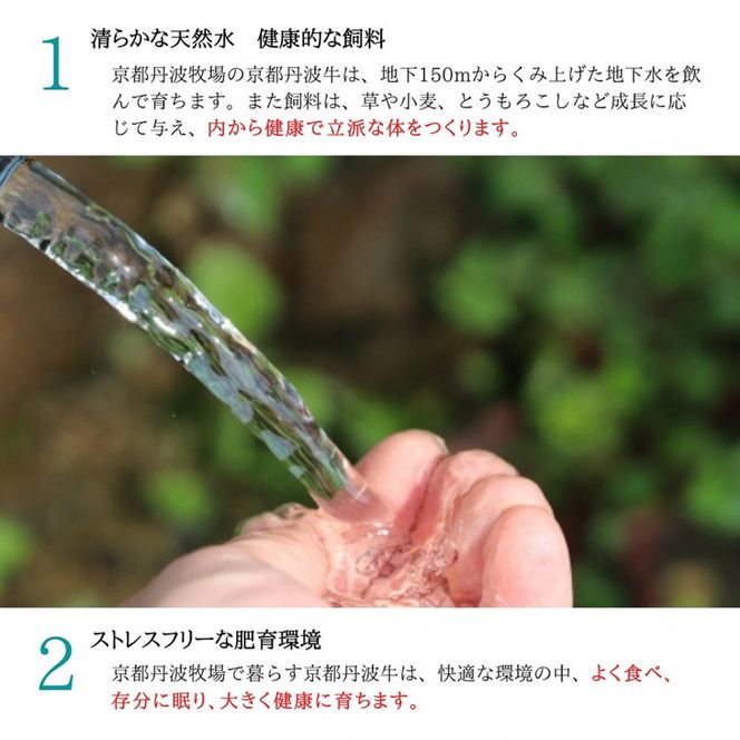 黒毛和牛 弘牛 焼肉 用 400g 超特選 京都産 京のお肉処 弘《ふるさと納税 牛肉 やきにく 京都丹波牛 ブランド牛  肩ロース》 ※離島への配送不可