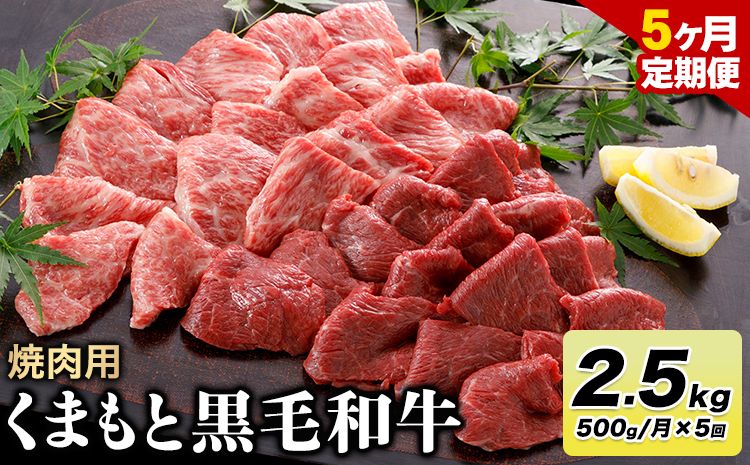 [5ヶ月定期便]牛肉 くまもと黒毛和牛 焼肉用 500g 計2.5kg 長洲501[お申込み月翌月以降の出荷月から出荷開始]定期便 計5回お届け---sn_f501kwyktei_23_83000_mo5num1---