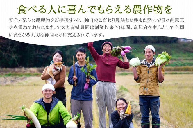 【定期便4回】<アスカ有機農園>旬の京丹後野菜セットS（栽培期間中　農薬・化学肥料不使用）　AY00012