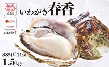 【のし付き】ブランドいわがき春香 新鮮クリーミーな高級岩牡蠣 殻付きSSサイズ×１１個