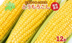 《期間限定》北海道 士幌産 とうもろこし 12本 (2025年8月中旬～発送開始予定) 約5kg スイートコーン 採れたて コーン 期間限定 新鮮 野菜 産地直送 産直 お取り寄せ 送料無料 十勝 士幌町【V02】