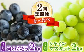 【2025年7月〜発送】【２回定期便】南島原産！ぶどう食べ比べ・旬のぶどう（ブラックビート・巨峰・ピオーネのいずれか）・シャインマスカット / 南島原市 / ながいけ[SCH062]