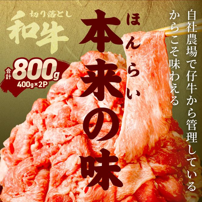 「和牛」切り落とし(400g×2パック)〈 和牛 切り落とし 志方亭 焼肉 肉 牛肉 小分け 冷凍 国産 送料無料 贈答用 美味しい お取り寄せ 肉 ギフト プレゼント おすすめ 〉【2401A00403】
