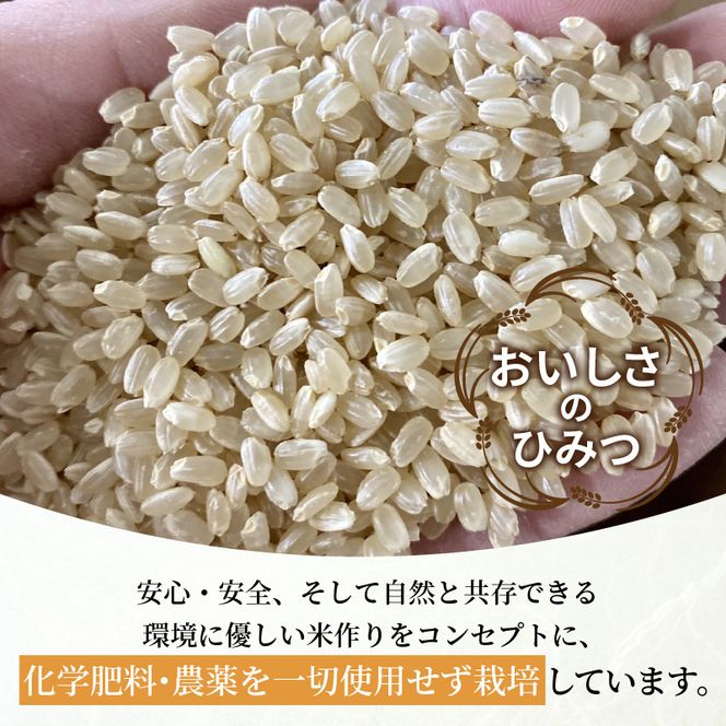 お米【神喜舞】玄米5kg《 お米 農薬不使用 玄米 5キロ 安心 安全 米 おこめ 国産 送料無料 ヒノヒカリ 》