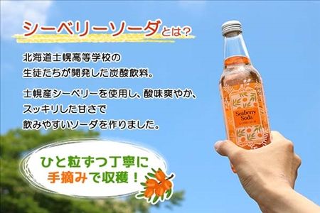 北海道 シーベリーソーダ 330ml×10本 シーベリー サイダー 炭酸飲料 サジー シーバックソーン 沙棘 スーパーフルーツ ミラクルフルーツ お取り寄せ 送料無料 十勝 士幌町【C01】