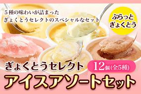 ぎょくとうセレクト アイスアソートセット 12個(全5種)《60日以内に出荷予定(土日祝除く)》 熊本県玉名郡玉東町 すもも ハニーローザ いちご イチゴ いちご しらぬい 不知火 チョコ チョコレート ヨーグルト アイス シャーベット ぷらっとぎょくとう---sg_fgkticemonaka_60d_18500_12p---