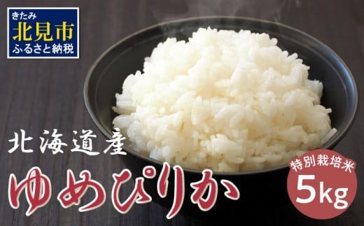 北海道 ゆめぴりか 特別栽培米 5kg ( 米 白米 ブランド米 ユメピリカ 高品質 5キロ )[061-0004]