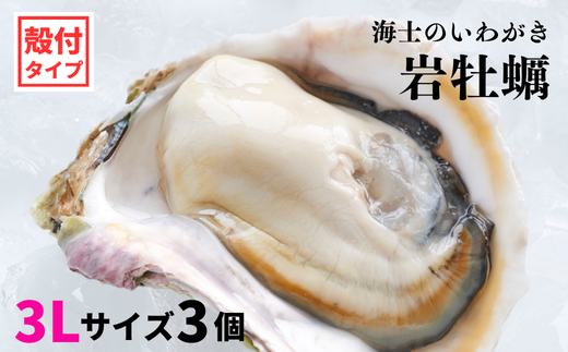 海士のいわがき】殻付き 3Lサイズ 3個 ぷりぷりでクリーミーなブランドいわがき（島根県海士町） | ふるさと納税サイト「ふるさとプレミアム」