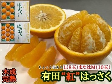 有田産濃厚バレンシアオレンジ 約7.5kg（M～2Lサイズおまかせ）☆2024