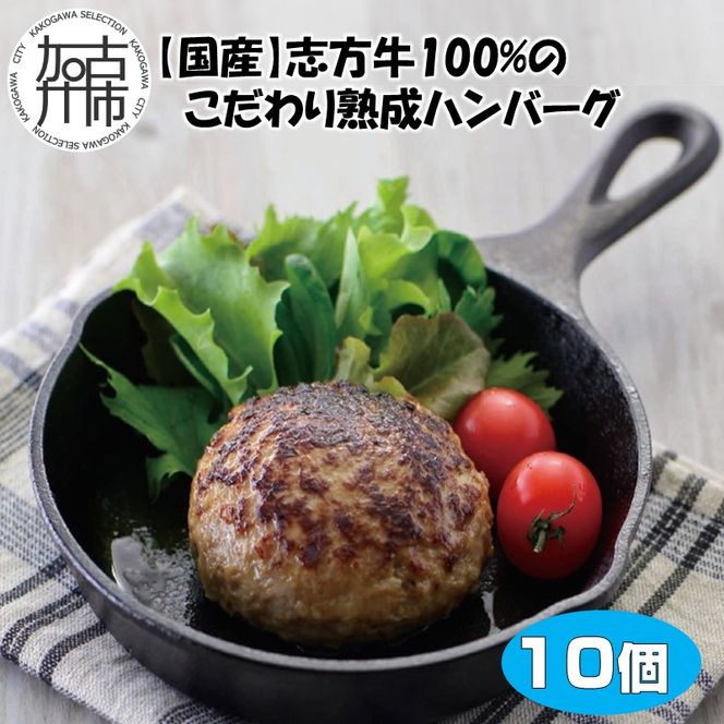 【国産】志方牛100%のこだわり熟成ハンバーグ150g×10個