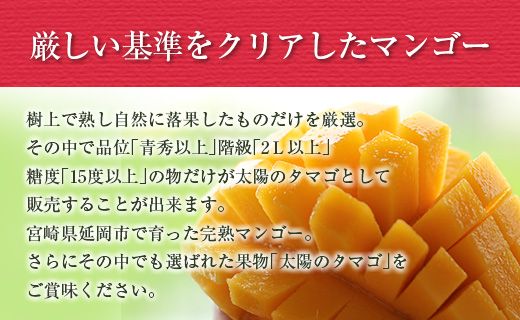 宮崎県延岡市産　完熟マンゴー「太陽のタマゴ」　3L×2個（2024年5月上旬発送開始）　N026-ZC207