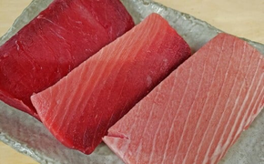 b200-025 【定期便3回】天然南鮪・大トロ・中トロ・赤身(約1kg)