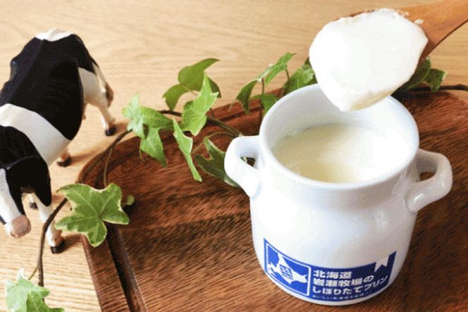 牧場のこだわりプリン 2種×3個 計6個セット [岩瀬牧場 北海道 砂川市 12260350] スイーツ プリン 食べ比べ セット