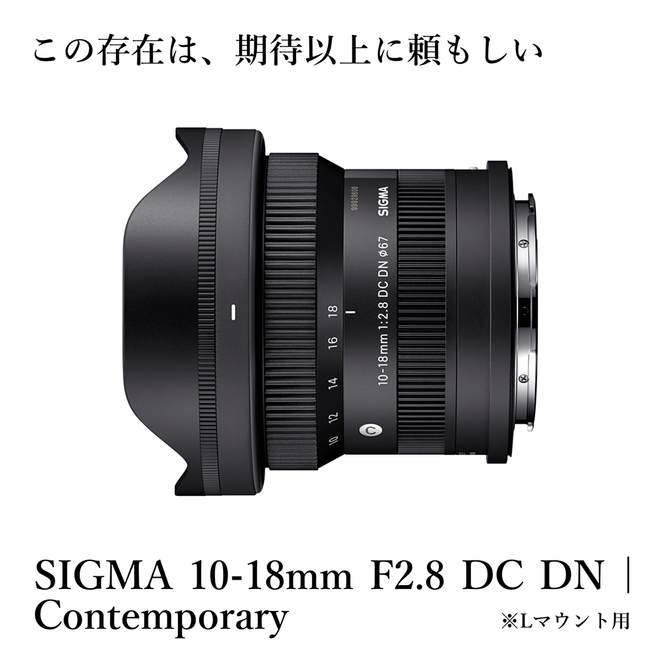 y֒򒬁zSIGMA 10-18mm F2.8 DC DN| ContemporaryyL}Egz