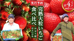 完熟 かおり野 ・ やよいひめ 食べ比べ 4パック 先行予約 大粒 イチゴ 苺 いちご フルーツ 果物 [AF089ci]