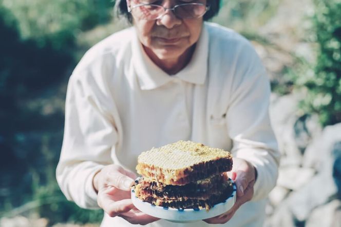 【保存料不使用】 天然！ 千花蜜（はちみつ） 550g [日添 熊本県 五木村 51120311] はちみつ 蜂蜜 ハチミツ 保存料不使用 天然 天然蜂蜜 熊本県 五木村 特産