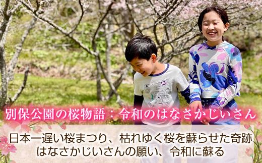 北海道釧路町の桜の木(1本)のオーナー権及びオーナー証＜植樹開催＆プレートお届け時期：2026年5月ごろ＞ | 北海道 釧路町 別保公園 桜の木 桜の苗 桜の苗木 桜 さくら 自然 保護 植樹体験 体験型 体験 体験型 北海道 先行予約 結婚 誕生 就職 退職 記念 想い出 北海道 釧路町 釧路超 特産品　121-1932-001