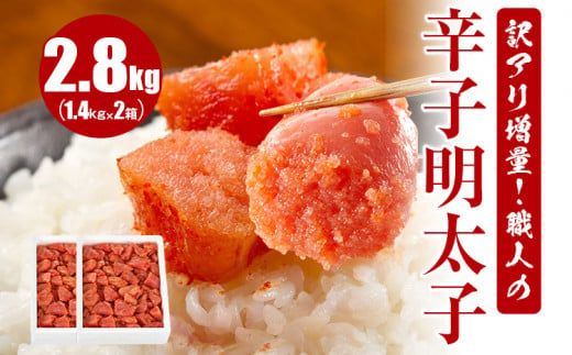 ycszAʁIEl̐hqq 2.8kg